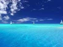 itb8888通博(中国区)官方网站