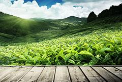 itb8888通博(中国区)官方网站